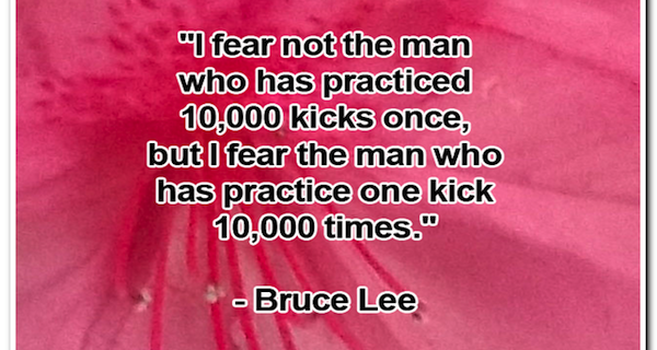 Millionaire Success Network Inspired Living Quote