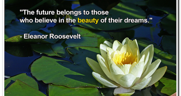 Millionaire Success Network Inspired Living Quote