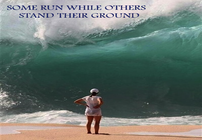 Millionaire Success Network Inspired Living Quote