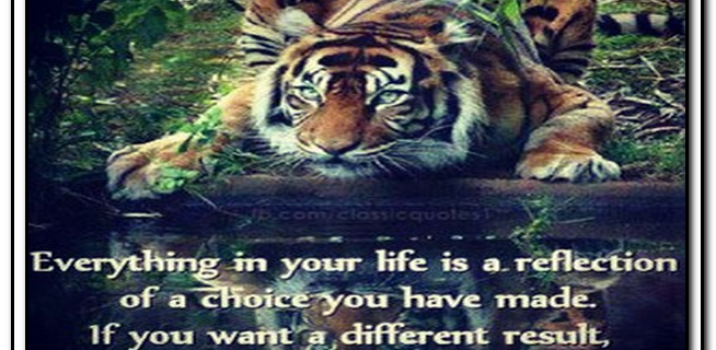 Millionaire Success Network Inspired Living Quote